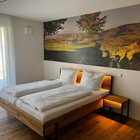 Mueller S Ferienhaeusle Ug Apartment *