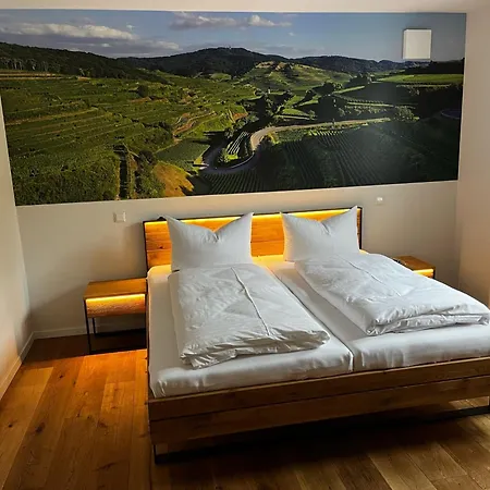 Mueller S Ferienhaeusle Ug Apartment