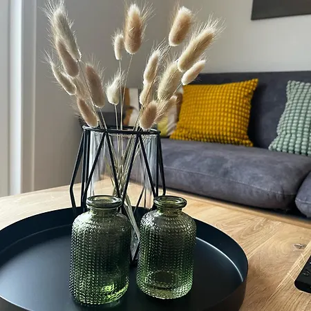 Mueller S Ferienhaeusle Ug Apartment Vogtsburg