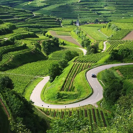 Mueller S Ferienhaeusle Ug Vogtsburg